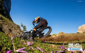 Prodaja koles Celje Giant